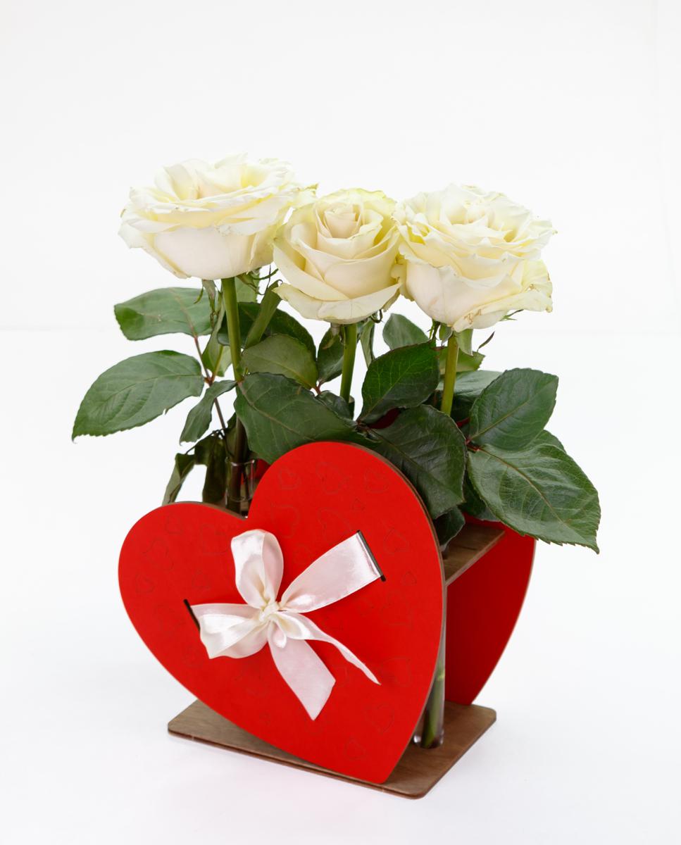 4815123002857 | Multybrand