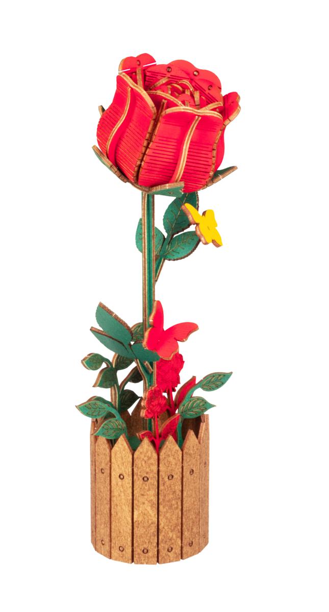 4815123004523 | Multybrand