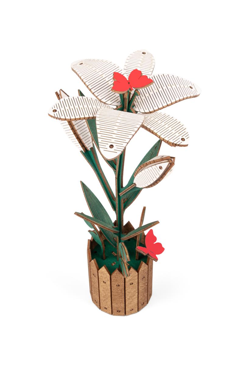 4815123004530 | Multybrand