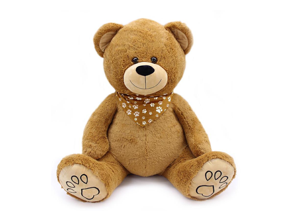 PTS220759 | Multybrand