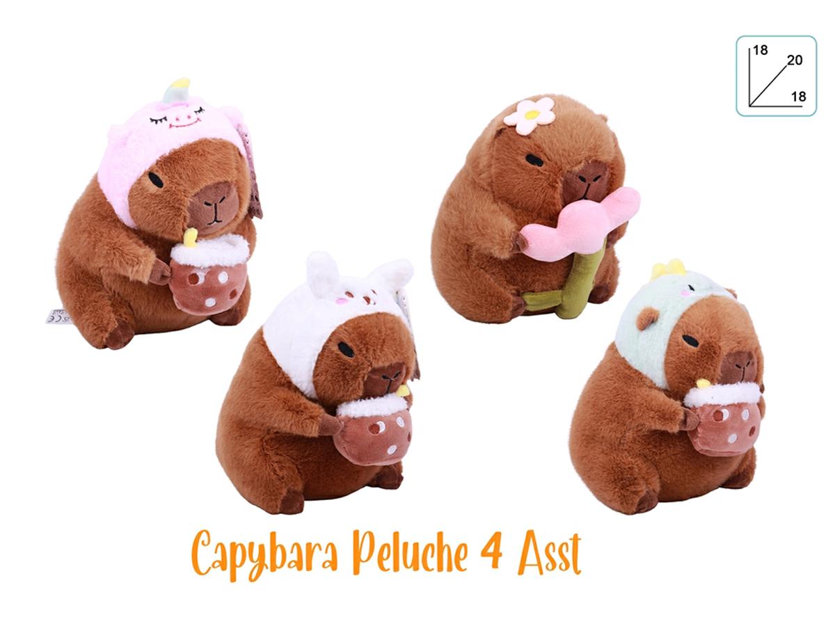 TG33074 | Multybrand